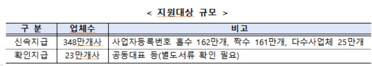 손실보전 최대 1000만원…"오늘 12시 안내문자, 오후 3시부터 지급" 