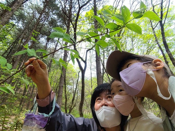 [여행·레저소식]화담숲 반딧불이 축제 외
