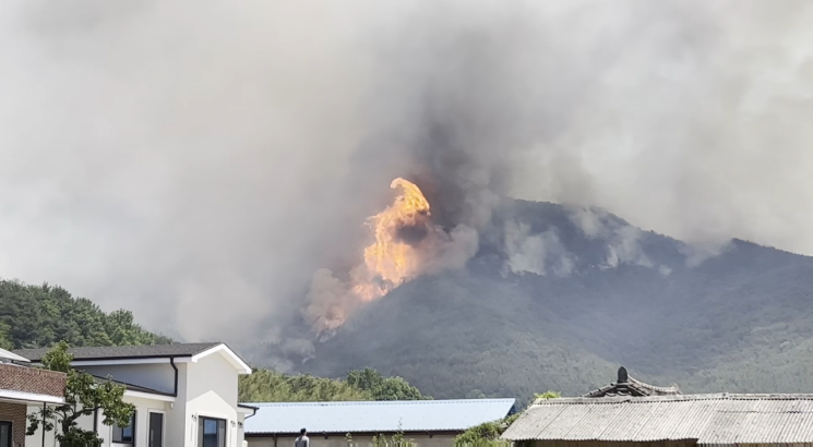 경남 밀양 산불 강풍타고 확산 … 재난 국가 위기경보 ‘심각’ 단계 발령