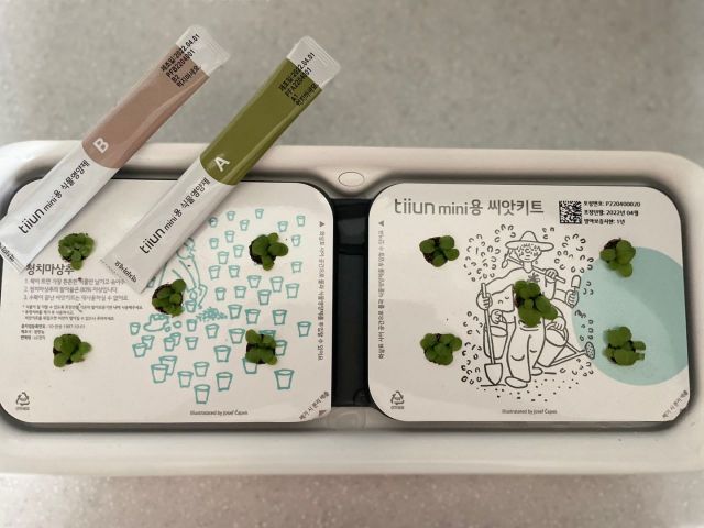 수확의 기쁨을 간편하게…LG '틔운 미니' 써보니