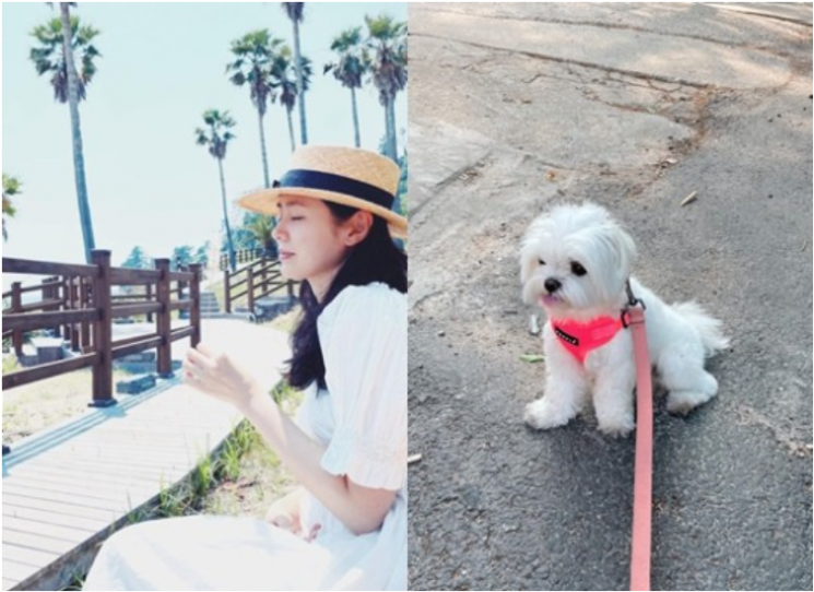 사진=손예진 인스타그램