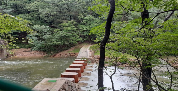 서울시, 산사태 취약지역 84개소에 사방시설 설치…6월 말까지 완료