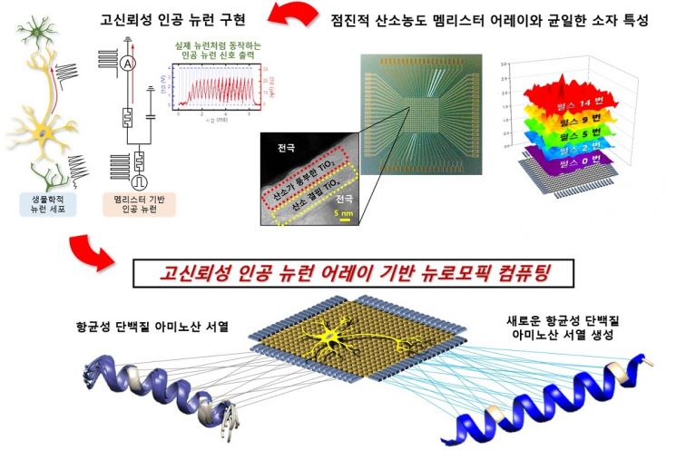 '인간 뇌 닮은' 차세대 뉴로모픽 반도체 핵심 소자 개발