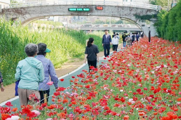 노원구 나들이 장터 ‘마·들·장’ 개최 