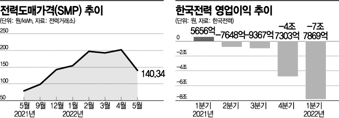 SMP 상한제 '줄소송' 예고…헌법소원까지 간다