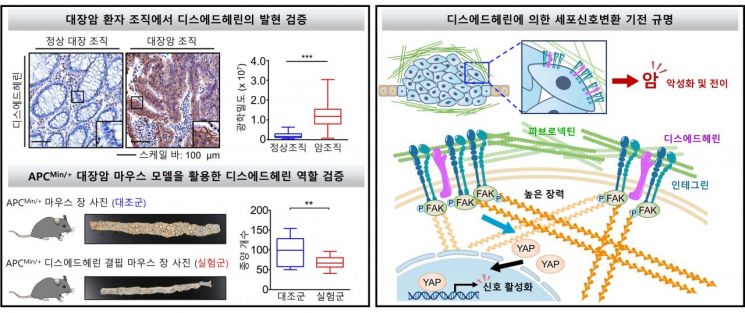 암 전이 원리 규명해 막아주는 신규 항암제 특허 출원