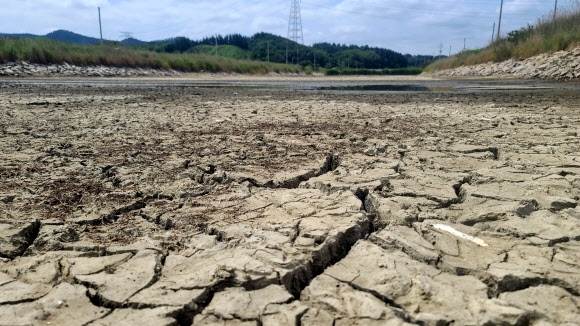 지난 2일 계속된 봄 가뭄으로 충남 태안군 이원면 이원 간척지 수로의 물이 말라 바닥이 갈라져 있다. /사진=연합뉴스