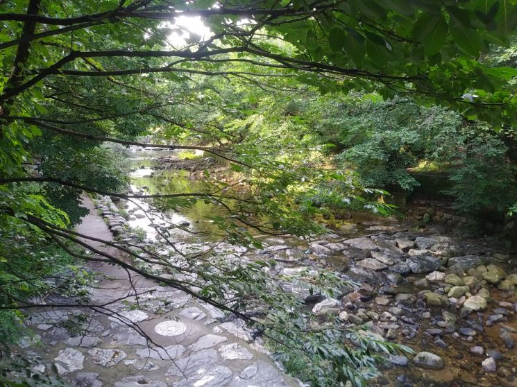 관악산 자운암능선 부근서 화재…진화 중