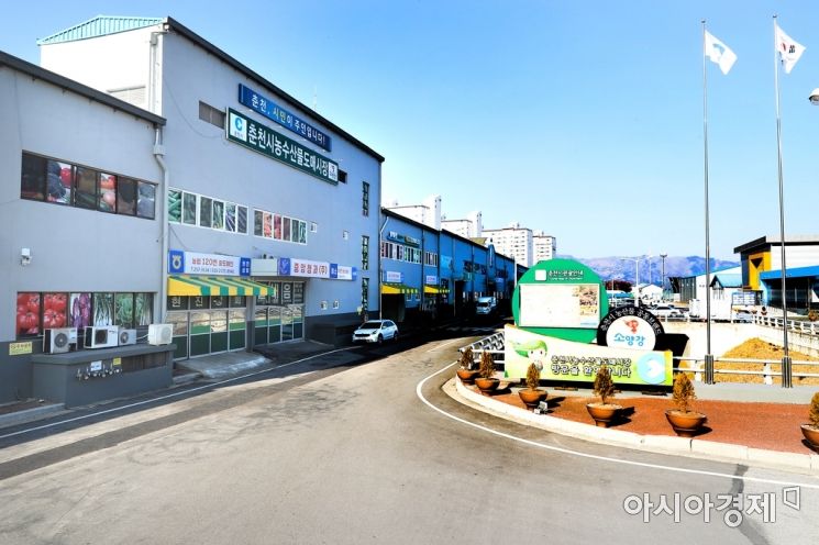 춘천시농수산물도매시장 [춘천시]