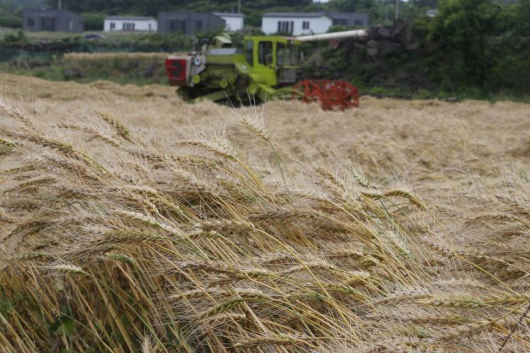 [이미지출처=연합뉴스]