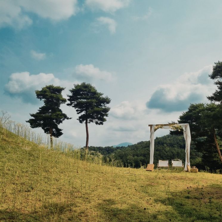 경북 고령군 지산동 고분에 설치된 포토존.