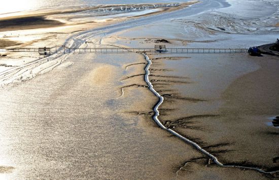전남도, 유네스코 세계자연유산 '갯벌' 보전 토대 세운다