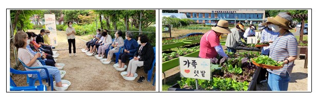 서울시, '농업을 통한 치유' 교육 참여 유치원·학교 선착순 모집