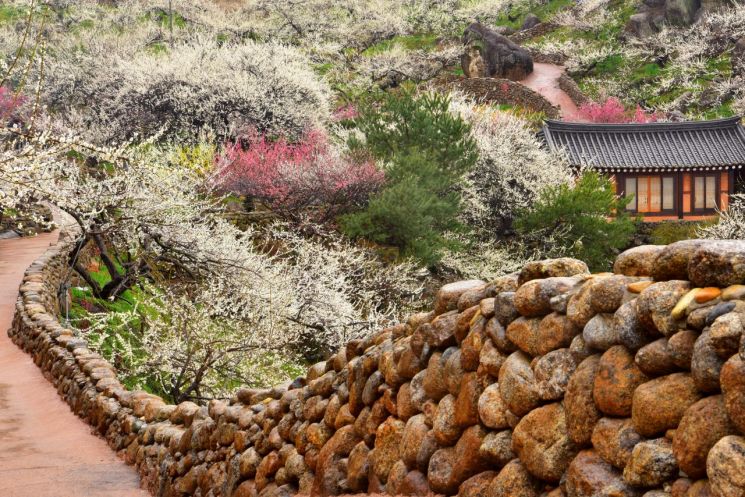 [화제의 책] 사진작가 전창열, 16년간 렌즈에 담은 '우리땅 돌담' 출간