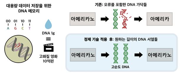 DNA 메모리 상용화를 위한 초병렬적 DNA 정제 기술 모식도.