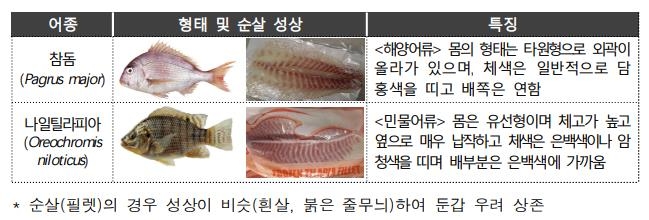 수입 민물고기인 나일틸라피아를 참돔으로 속여 판 대구의 한 초밥 음식점이 적발됐다./사진=식품의약품안전처.