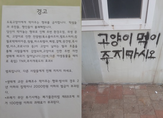 포항서 새끼고양이 잔혹살해 30대 남성…3년 전 한동대 연쇄학대범과 동일인물