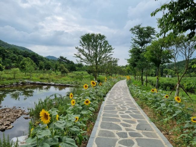 고창군, 초등학생 대상 ‘여름습지학교’ 운영