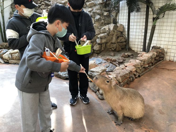 동식물과 함께하는 심리정서 안정 지원 프로그램.