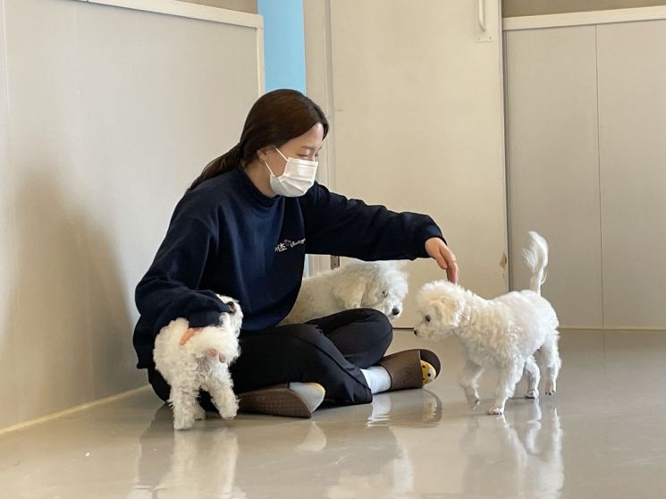 서초구, 여름 휴가철 ‘반려견 돌봄쉼터’ 운영