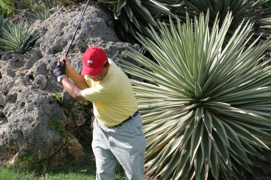 [김맹녕의 골프영어회화] "생크(shank)의 원인과 교정"