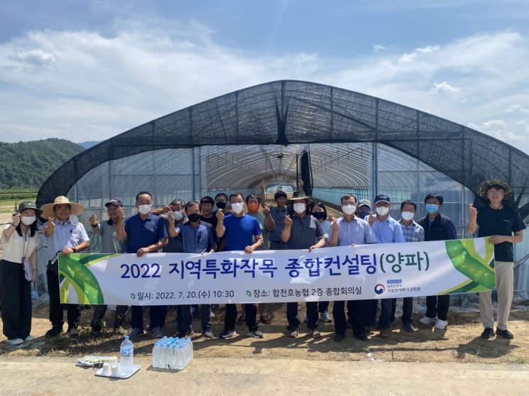 합천군농업기술센터는 양파 생산농가 현장 컨설팅으로 애로 기술을 해결한다.