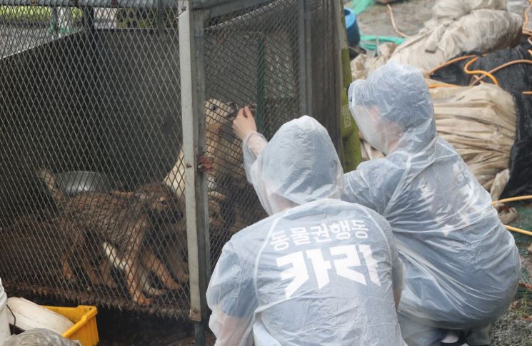 '개 도축하는 韓'…美연수 무산에 재점화된 식용 논란