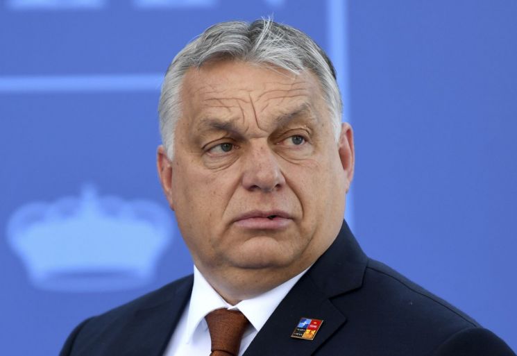 헝가리 총리 "혼혈국가는 국가 아냐"…극우성향 발언 논란   