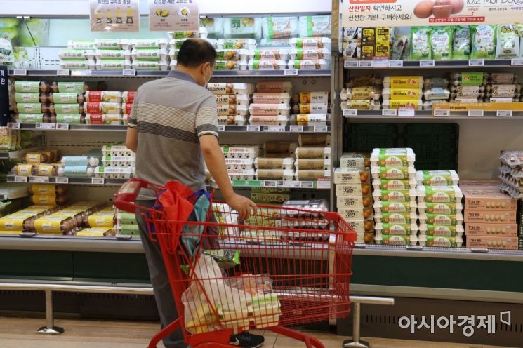 서울 시내 한 대형마트에서 시민들이 달걀을 살펴보고 있다. 아시아경제DB