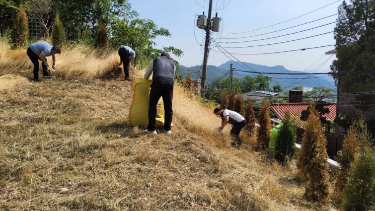 종로구 환경공무관들 직접 경작한 호밀로 어르신께 ‘빵’ 효도한 기특한 사연?