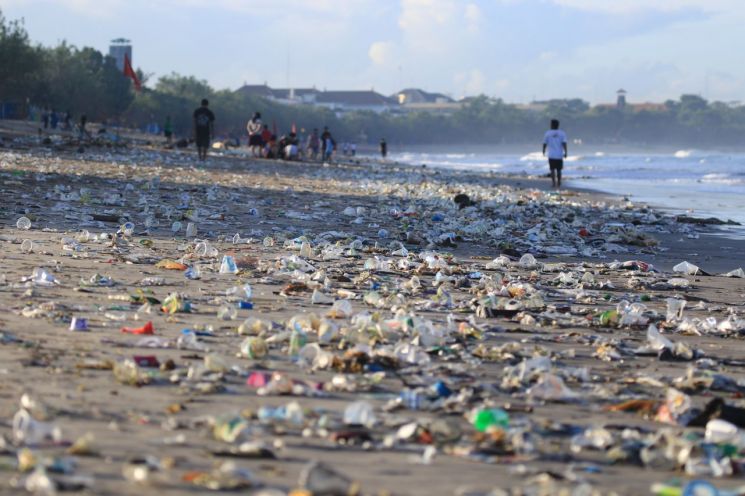 [김병민의 사이언스빌리지] 고래는 왜 심해에서 추락해야 하는가