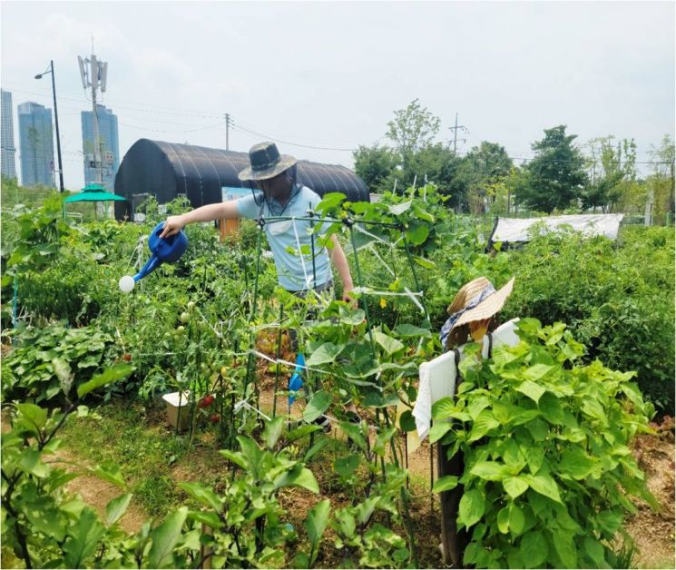 성동구, 힐링 명소 무지개텃밭 가을 경작 지원