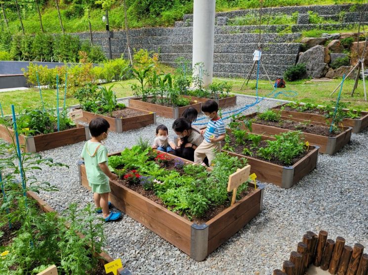 성동구, 힐링 명소 무지개텃밭 가을 경작 지원