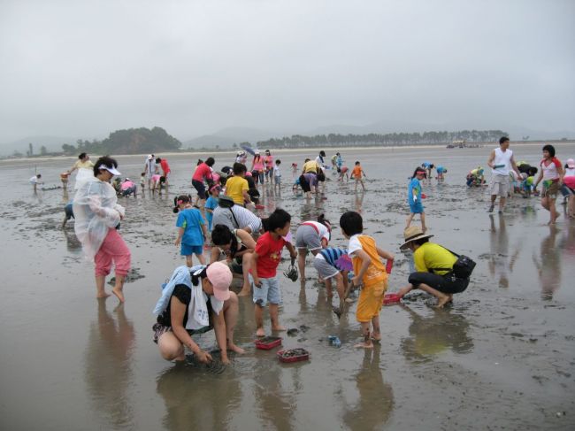 고창군이 오는 23일부터 25일까지 심원면 만돌갯벌에서 ‘2023 고창갯벌축제’를 개최한다.[사진제공=고창군]