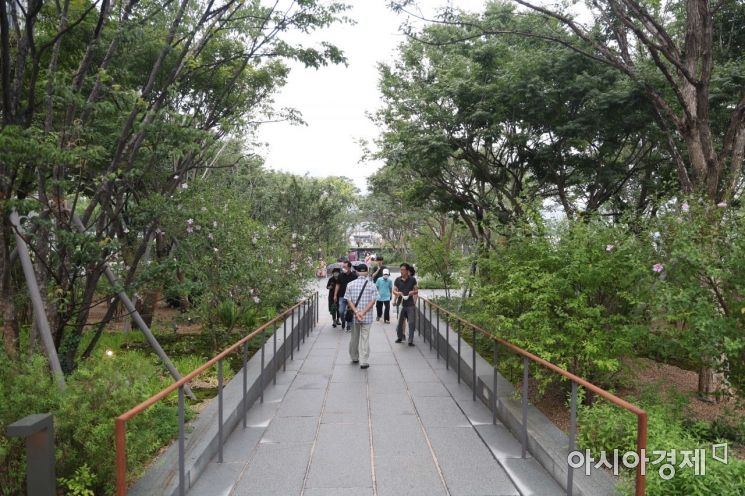 [포토]나무 가득한 광화문광장 