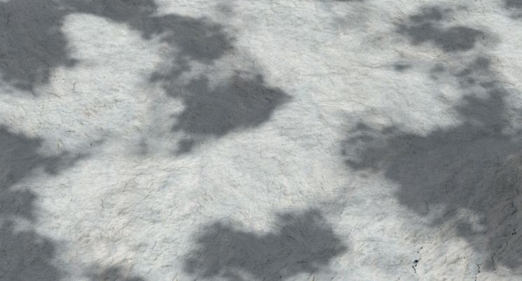 인간과 자연의 양가적 관계를 들여다보다