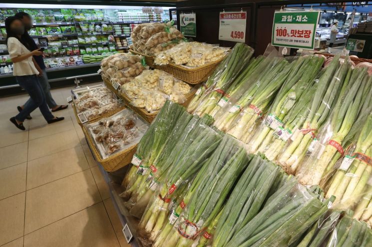 채소 가격이 치솟으면서 집에서 직접 채소를 길러먹는 '텃밭족'이 늘고 있다. 사진은 서울 시내 한 대형마트 채소 판매대. [이미지출처=연합뉴스]