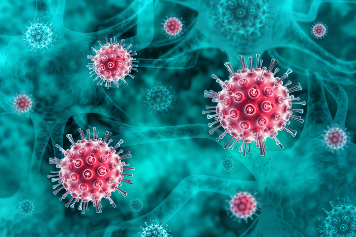 중국에서 신종 인수공통 바이러스 발견 "35명 감염"