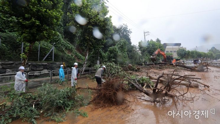 [포토] 신림로 뒤덮은 토사와 나무들