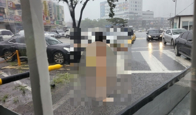 9일 나체로 거리를 활보하다 경찰에 붙잡힌 40대 남성이 가족에 인계됐다./사진=온라인 커뮤니티 캡처.