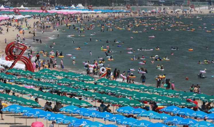 7일 오후 부산 해운대해수욕장에 피서객들이 물놀이를 하며 더위를 식히고 있다. [이미지출처=연합뉴스]