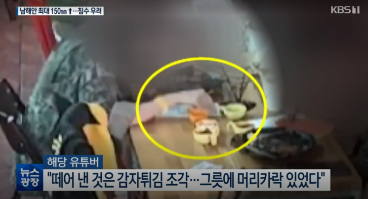A씨 일행이 담요에서 떼낸 머리카락을 식탁 위에 올려놓고 있다. /사진=KBS 뉴스 캡처