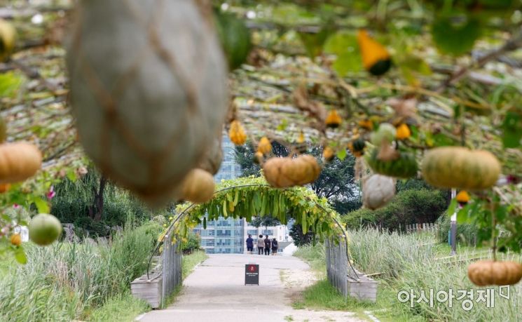 [포토]성큼 다가온 가을
