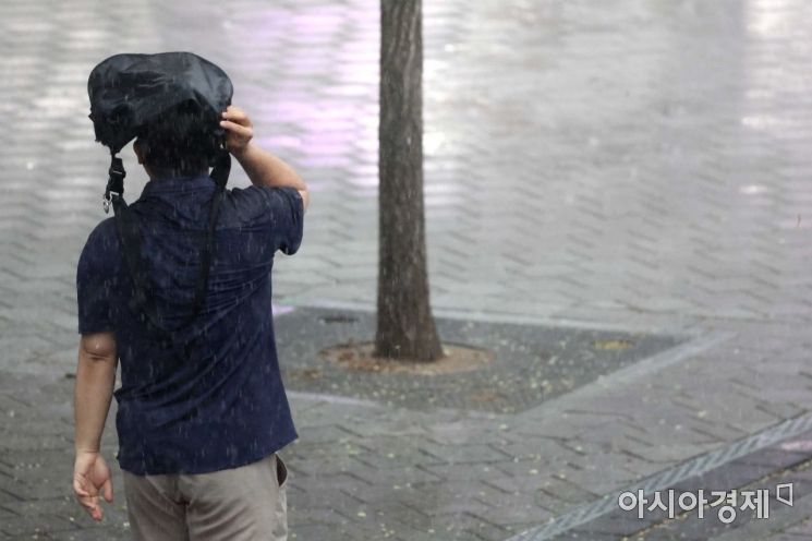 [포토]우산 없어도 당당하게 걷기 