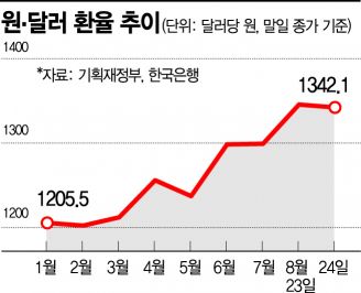 환율 '암초' 만난 물가…9~10월 정점론 일러