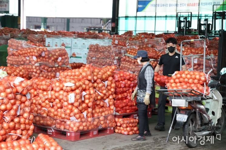 Government to Export 15,000 Tons of Reserved Onions to Vietnam, Taiwan, and Japan for Supply Stabilization