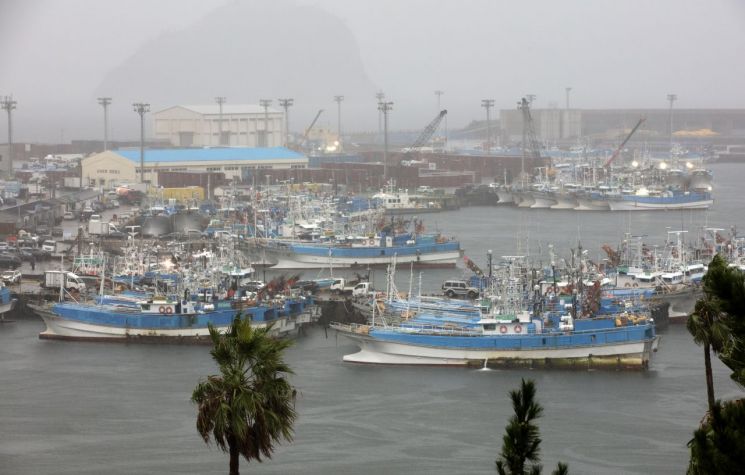 As Typhoon Hin Nam No moves northward toward the Korean Peninsula, fishing boats have taken shelter at Seogwipo Port, Jeju, on the morning of the 2nd. [Image source=Yonhap News]