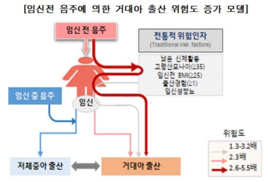'임신 전 과음' 태아에 영향 … 4㎏ 넘는 거대아 출산위험 2.5배↑