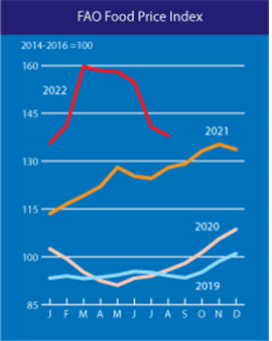 세계식량가격지수, 전월比 1.9%↓…5개월 연속 하락