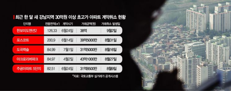 '강남 아파트의 굴욕'…3억 날려도 계약 취소하고 '로또 아파트'는 반토막
